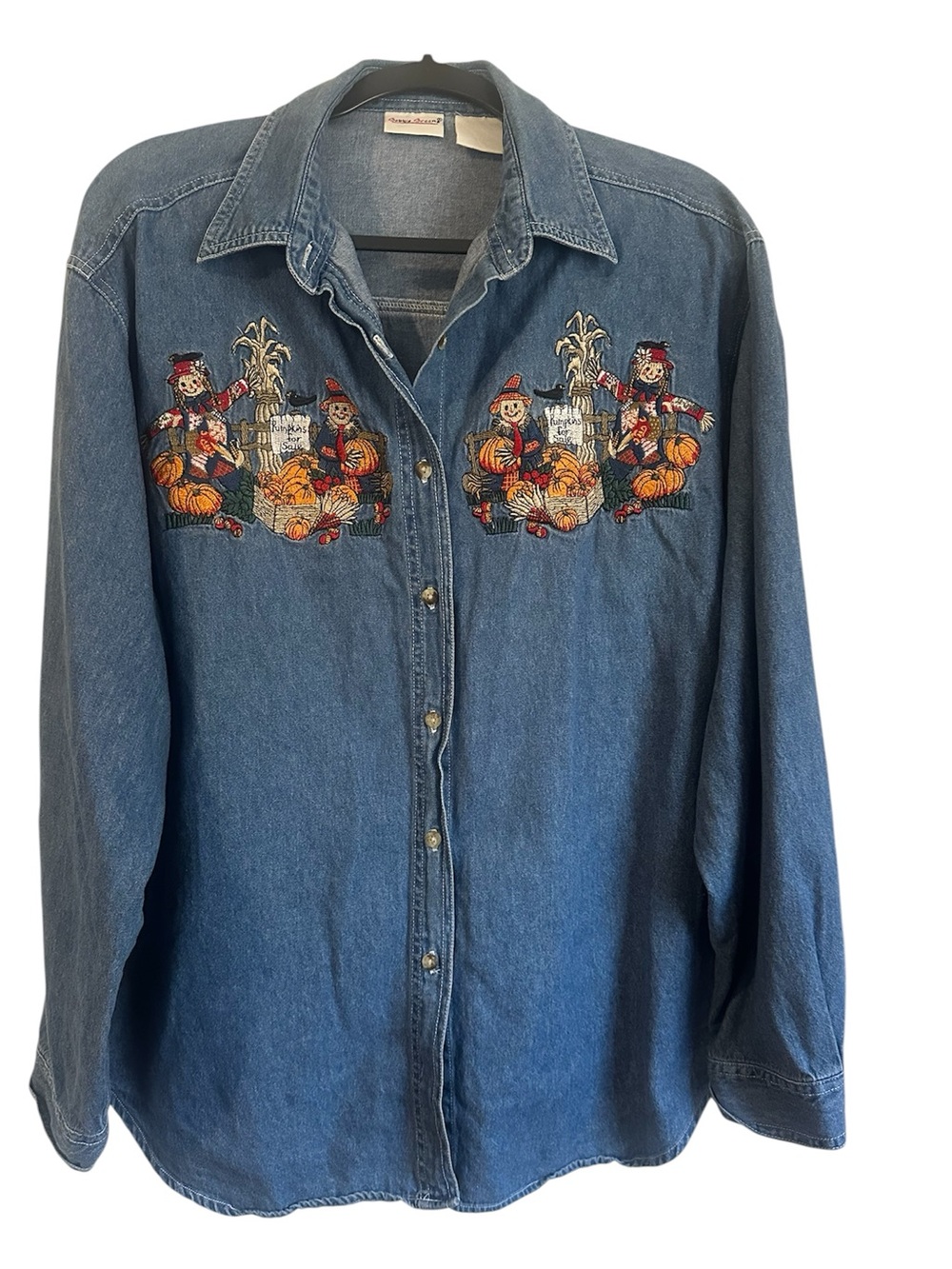 Vintage Bobbie Brooks fall pumpkin patch denim shirt women’s size xl